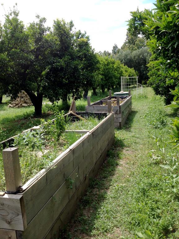 Luna&Limoni Country Muravera Ngoại thất bức ảnh